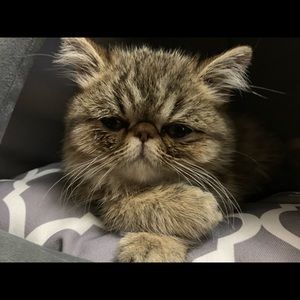 Meet your Posher, Jay